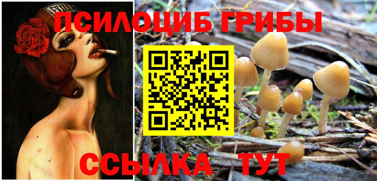 Минусинск  Псилоцибиновые грибы Psilocybine cubensis  Вход с VPN  Галлюциногенные грибы мухоморы 